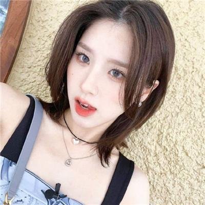 燕子与鹦鹉