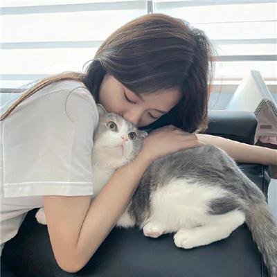 系统